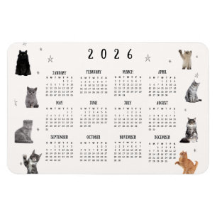 Íman Calendário de Gato Engraçado 2026