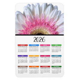 Íman Calendário de Gerbera Daisy Rosa e Branco de 2023
