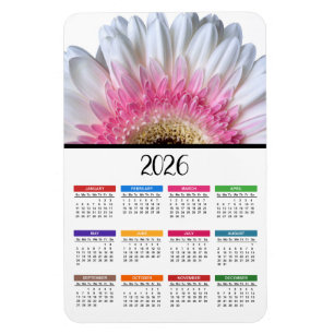 Íman Calendário de Gerbera Daisy Rosa e Branco de 2023