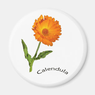 Íman - Calendário e texto