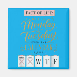 Íman Calendário Fact Of Life Diz Qual Humor Na Terra