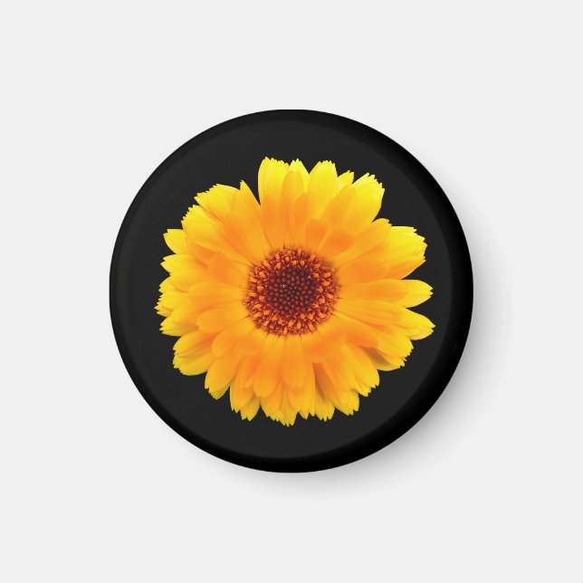 Íman Calendula Officinalis (Frente)