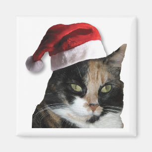 Íman Calico Cat Natal