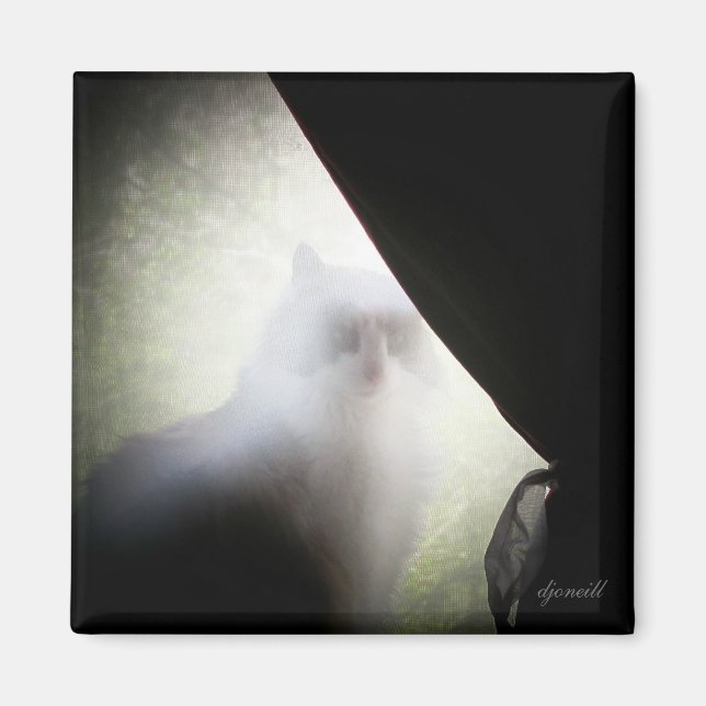 Íman Calico Ghost Cat por djoneill (Frente)