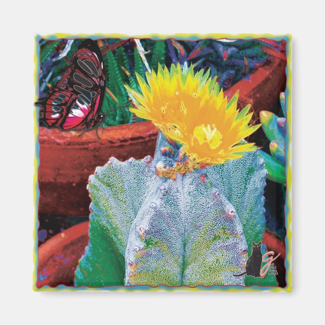 Íman Caliente Cactus Magnet (Frente)