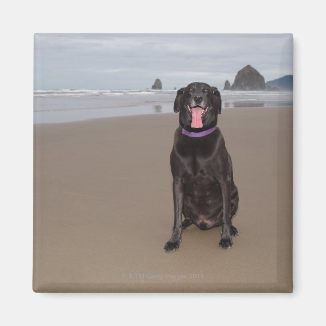 Íman Califórnia, EUA (Frente)