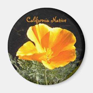 Íman California Native