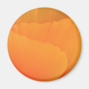 Íman California Poppy