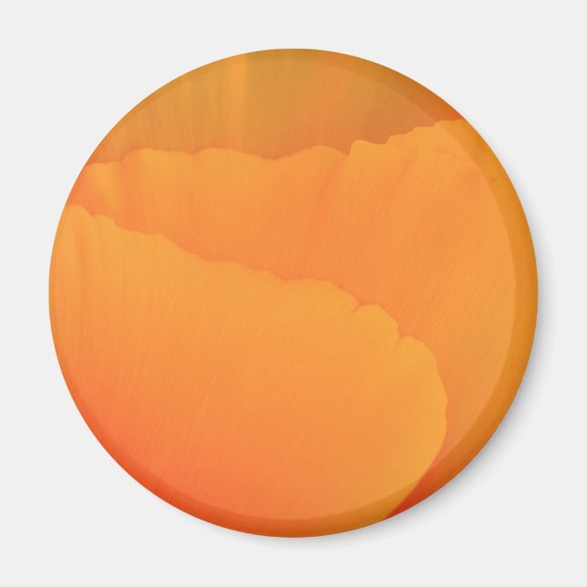 Íman California Poppy (Frente)