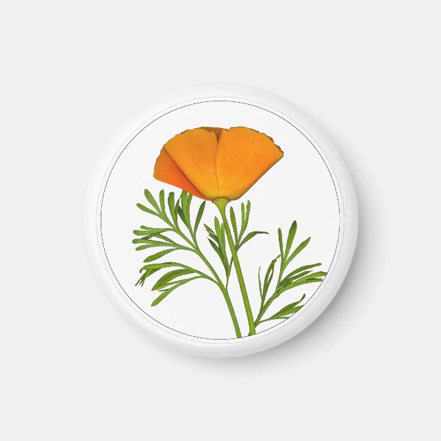 Íman California Poppy em um Círculo - (Frente)