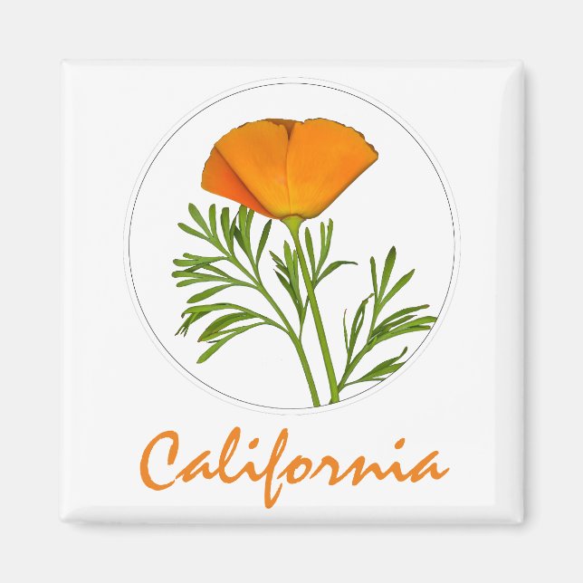 Íman California Poppy em um Círculo, Texto "California" (Frente)