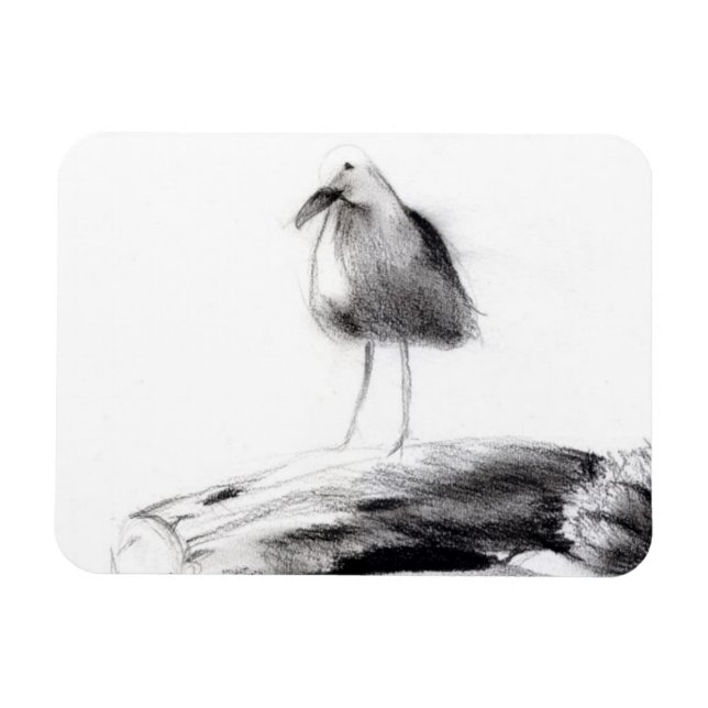 Íman California Seagull 2012 (Horizontal)