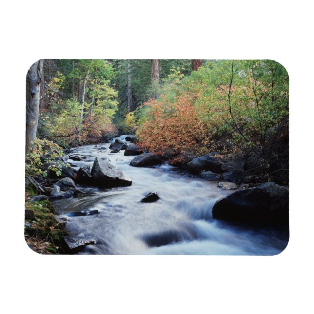 Íman Califórnia, Sierra Nevada Mountains 11 (Horizontal)