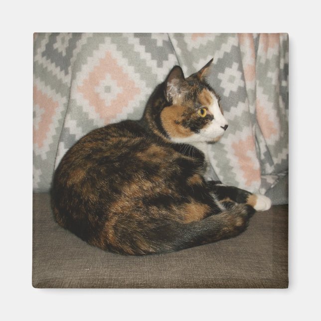 Íman Callie Cat em Sofa (Frente)