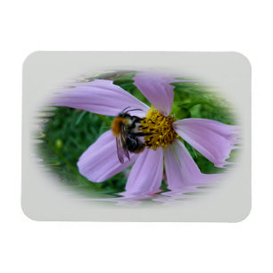 Íman Calor de Verão