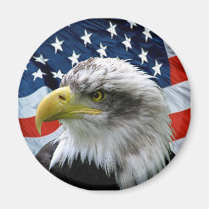 Íman Calvo-Eagle-Americano-Bandeira