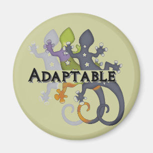 Íman Camaleão adaptável