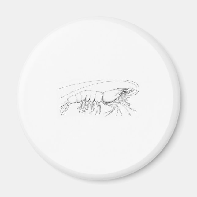 Íman Camarão (Frente)