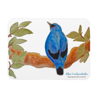 Íman Camarão-Caco Azul no Pássaro de Aquarela