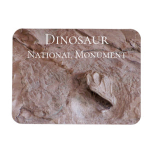 Íman Camarasaurus Skull and Skeleton, Dinosaur, Utah