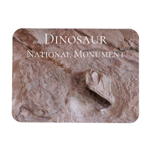 Íman Camarasaurus Skull and Skeleton, Dinossaur, Utah (Horizontal)
