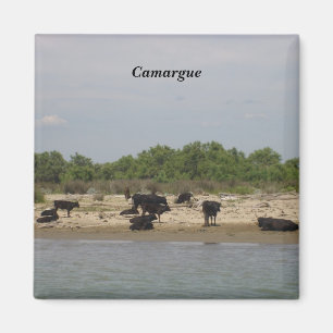 Íman Camargue -