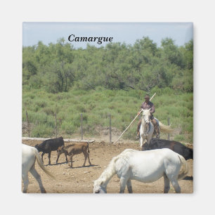 Íman Camargue -