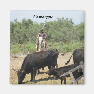 Íman Camargue -