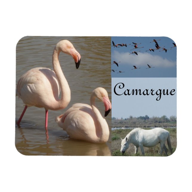 Íman Camargue Magnet (Horizontal)