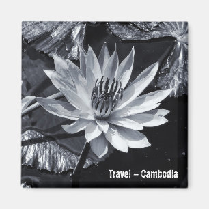 Íman Camboja - Flor Lotus BW (Imã de geladeira)