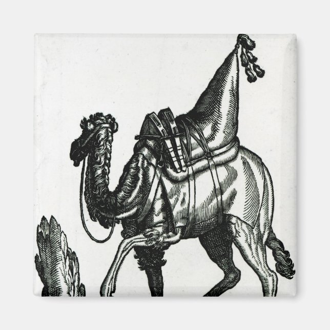 Íman Camel (Frente)