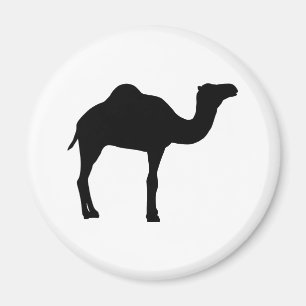 Íman Camel