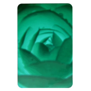 Íman Camellia - Magnet Premium hipnótico