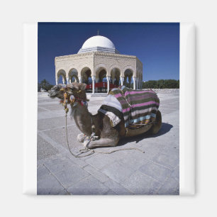 Íman Camelo descansando em frente à cúpula, Monastir, T