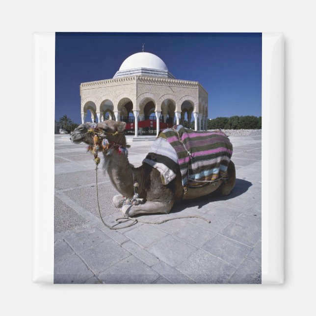 Íman Camelo descansando em frente à cúpula, Monastir, T (Frente)