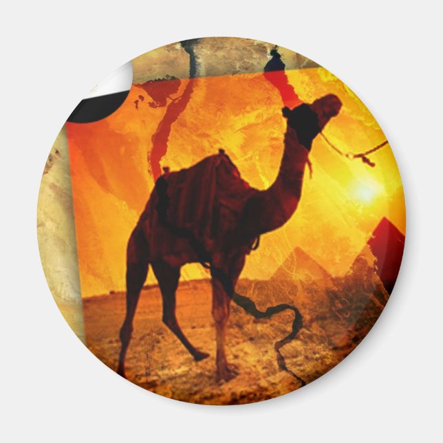 Íman Camelo egípcio (Frente)