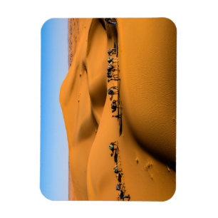 Íman camelos no deserto sob céu azul