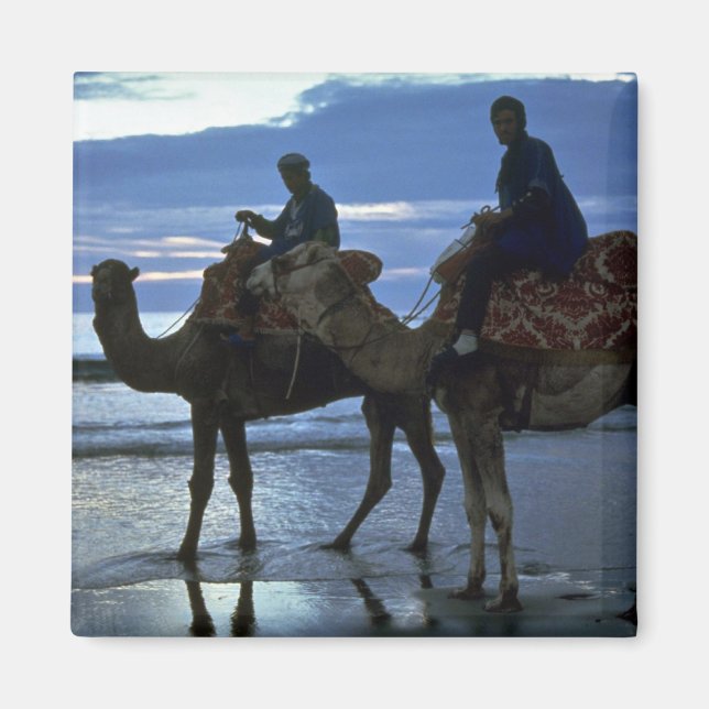 Íman Camels, Marrocos (Frente)