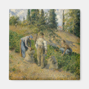 Íman Camille Pissarro   a colheita, Pontoise