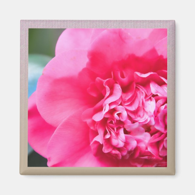 Íman Camillia Artística Flor Rosa (Frente)
