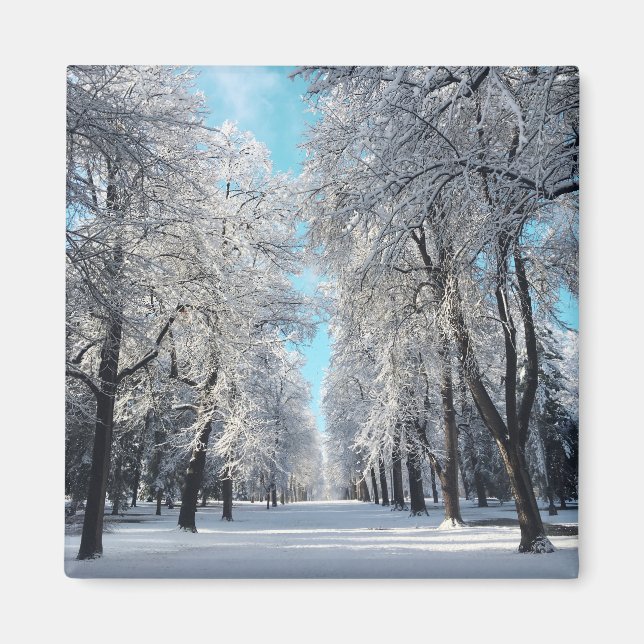 Íman caminhada de inverno no parque (Frente)