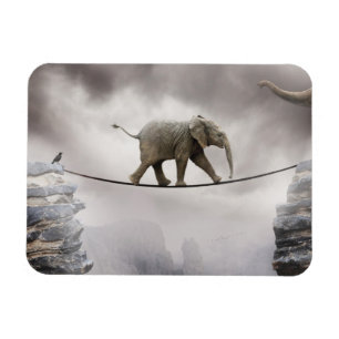 Íman Caminhadas do elefante do bebê o Tightrope