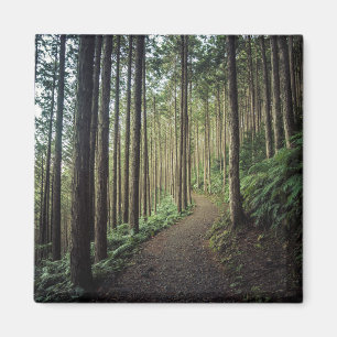 Íman Caminhando nas montanhas Wakayama, Japão