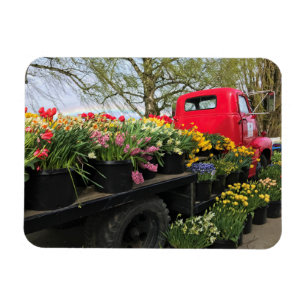 Íman Caminhão Vermelho com Flores de primavera e Arco-