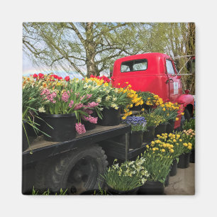 Íman Caminhão Vermelho com Flores de primavera e Arco-