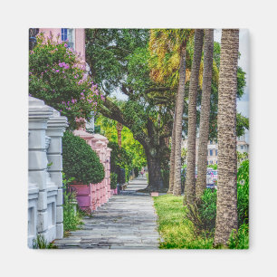 Íman Caminhe pela linha do arco-íris