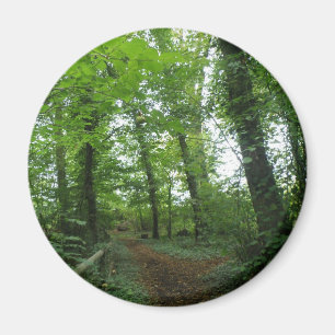 Íman Caminho através do Magnet da Floresta Verde
