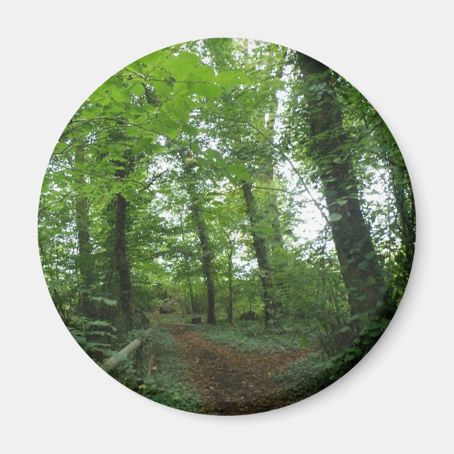 Íman Caminho através do Magnet da Floresta Verde (Frente)