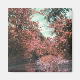 Íman Caminho Cênico de Queda