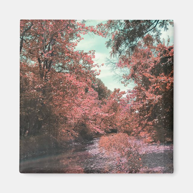 Íman Caminho Cênico de Queda (Frente)